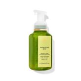 Bath & Body Works Eucalyptus Mint Köpük Sabun