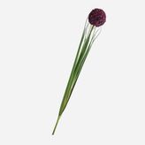Bauhaus Mor Allium Yapay Çiçek
