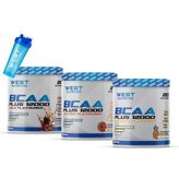 Bcaa Plus 12000 L-Glutamin Taurin 60 Servis 3 Aroma