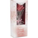 Beaulis Eternal Bloom Gül Allık - 333