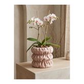 BEBÜTO Dekoratif Desenli Beton Saksı & Orkide Saksısı - Modern Çiçeklik ve Aranjmanlık-16CM