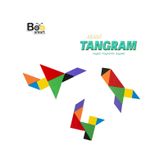 Bee Smart Renkli Tangram