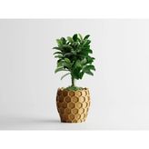 Beehavia Dekoratif Saksı - Beyaz Modern Modern Bitki Saksısı 7,5 cm - 76x76x75mm