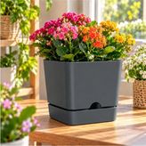 Begonya Kare 16 Kare Saksı 2,3 Litre 16X15 cm Tabaklı Modern Plastik Saksı Iç ve Dış Mekan