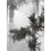 Ben Thorp Brown: Cura’s Garden