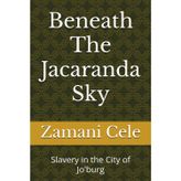 Beneath The Jacaranda Sky
