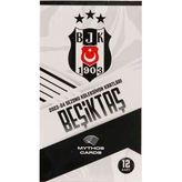 Beşiktaş 2023/24 Sezon Kartları