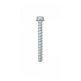 Beton Vidası - 12x100
