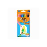 Bic 12 Li Kuru Boya