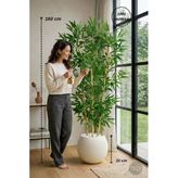 Biçiçek Yapay Bambu Ağacı 160 Cm Beyaz Küre Saksıda