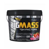 Bigjoy 3000 Gr Çilek Big Mass +GH Factors