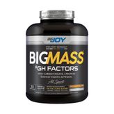 Bigjoy Bıgmass Gainer Gh Factors Çikolata Aromalı 3000G