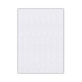 Bigpoint 50x70 cm 2 mm Beyaz 10'lu Keçe