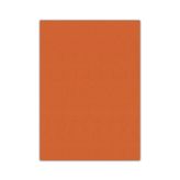 Bigpoint 50x70 cm Turuncu 10'lu Eva