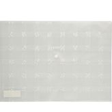Bigpoint BP235-03 Desenli Şeffaf Cıtcıtlı Dosya