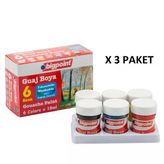 Bigpoint Guaj Boya 6 Renk X 18 Ml X 3 Adet