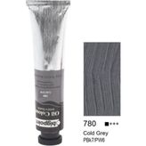 Bigpoint Yaglı Boya 200ML 780 Cold Gre
