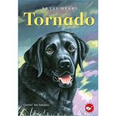 Bilfold Tornado - 1 Adet