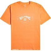 Billabong Exit Arch Erkek Tişört - Çok Renkli - S