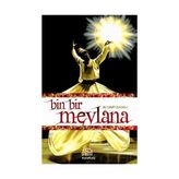 BIN BIR MEVLANA - ALI CANIP OLGUNLU