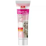 Bio PetActive 100 ml Vitalicat Junior Yavru Kedi Vitamin Paste