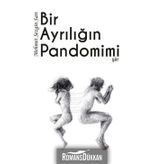 Bir Ayrılığın Pandomimi - Mehmet Sezgin Sarı