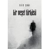 Bir Neşet Türküsü - Edip Çakı