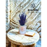 Bitkitürk- Kitap Beton Saksıda Lavanta