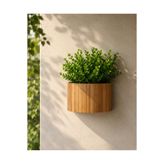 BLACK PEARL Ahşap Duvar saksısı bambu saksı