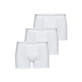 Blackspade 967095298099 Beyaz 3 Lü Boxer