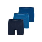 Blackspade Lacivert - Mavi Erkek Boxer 9673