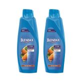 Blendax Badem Yağı Özlü 550 ml 2 Adet Şampuan