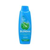 Blendax Isırgan Özlü 470 ml Şampuan