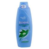 Blendax Isırgan Özlü 550 ml Şampuan