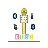 Blic BLS-25 Usb Tf Kart Aux Karaoke Mikrofon