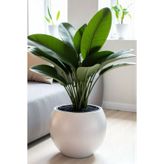 Bliss Dekoratif Modern Tasarım 27 Litre Küre Saksı Beyaz Renk