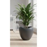 Bliss Lale Desen Dekoratif Antrasit Plastik Saksı 25 Lt - Büyük Boy Modern Salon & Bahçe Saksısı