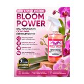 Bloom Power 500 ml Dal Tomurcuk Desteği