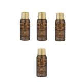 Bodega 4x100 ml Premium Bütan Gaz