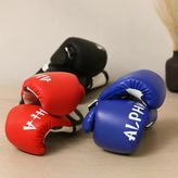 Boks Eldiveni 36