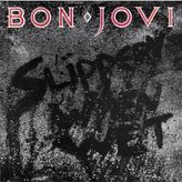 Bon Jovi - Slippery When Wet Plak