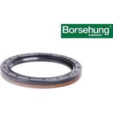 Borsehung 09A409400A AKS KEÇESİ SAĞ - AQ3