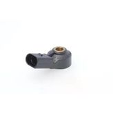 Bosch 0261231146 Vuruntu Sensörü Golf V Jetta Caddy Bse Blf Bmy Bl