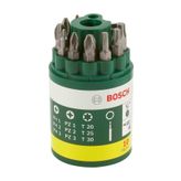 Bosch DIY 10 Parça Vidalama Ucu Seti