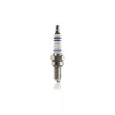 Bosch FR 8 DC+ Buji