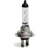 BOSCH H7 AMPUL