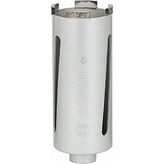 Bosch Professional Elmas Özel 65 mm Matkap Ucu