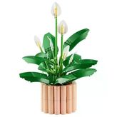 Botanicals Barış Çiçeği 11504