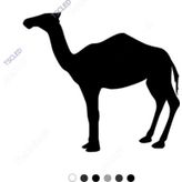 Boynu Eğri Deve Sticker 15 cm