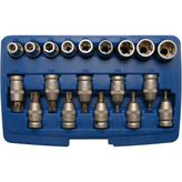Brio Bgs Torx 1/2 19 Parça Lokma Set